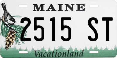 ME license plate 2515ST