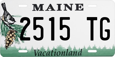 ME license plate 2515TG
