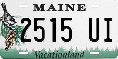 ME license plate 2515UI