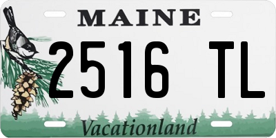 ME license plate 2516TL