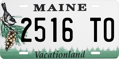 ME license plate 2516TO