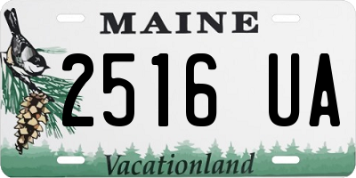 ME license plate 2516UA