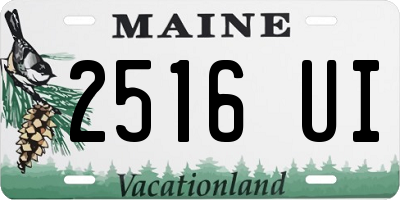 ME license plate 2516UI