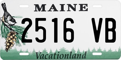 ME license plate 2516VB