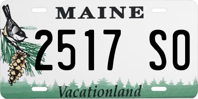ME license plate 2517SO