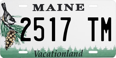 ME license plate 2517TM