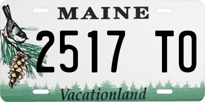 ME license plate 2517TO