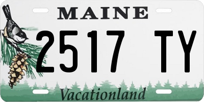 ME license plate 2517TY