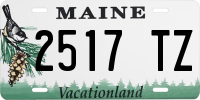 ME license plate 2517TZ