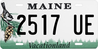 ME license plate 2517UE