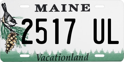ME license plate 2517UL