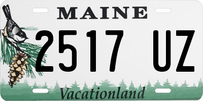 ME license plate 2517UZ