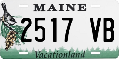 ME license plate 2517VB