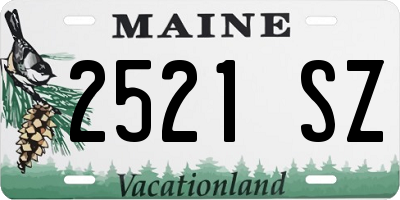 ME license plate 2521SZ