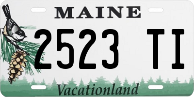 ME license plate 2523TI