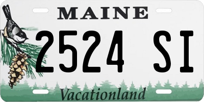 ME license plate 2524SI