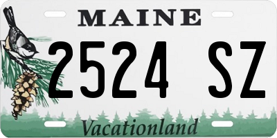 ME license plate 2524SZ
