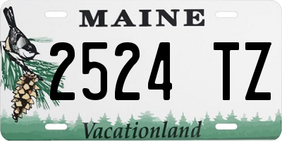 ME license plate 2524TZ