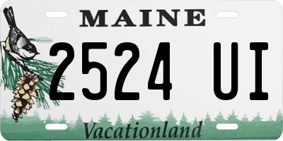 ME license plate 2524UI