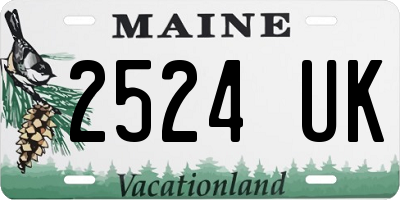 ME license plate 2524UK