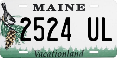 ME license plate 2524UL