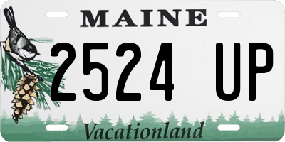 ME license plate 2524UP