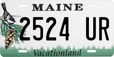 ME license plate 2524UR