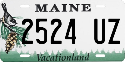 ME license plate 2524UZ