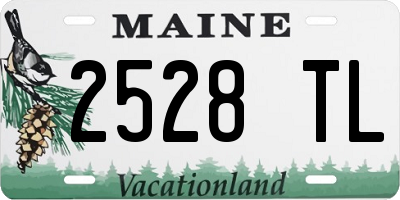 ME license plate 2528TL