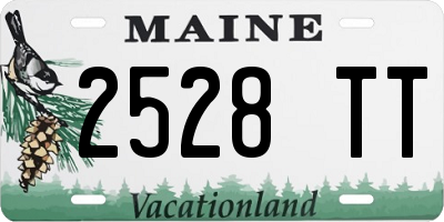 ME license plate 2528TT