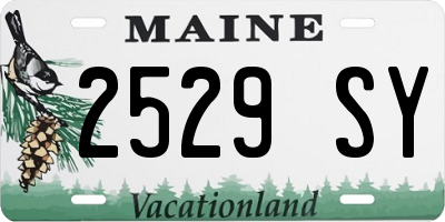 ME license plate 2529SY