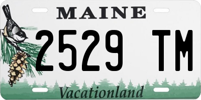 ME license plate 2529TM