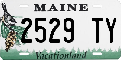 ME license plate 2529TY