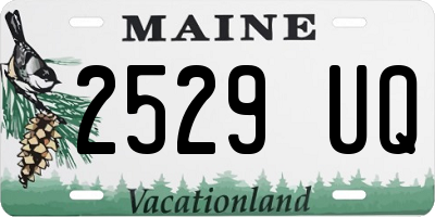 ME license plate 2529UQ