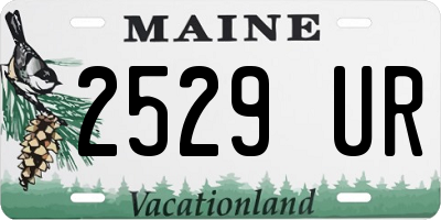 ME license plate 2529UR