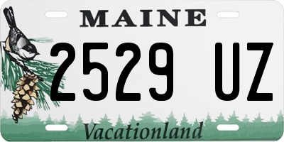 ME license plate 2529UZ