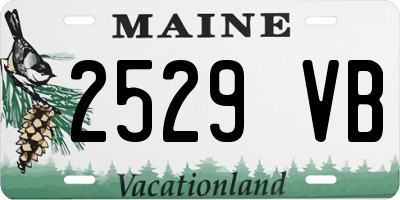 ME license plate 2529VB