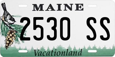 ME license plate 2530SS