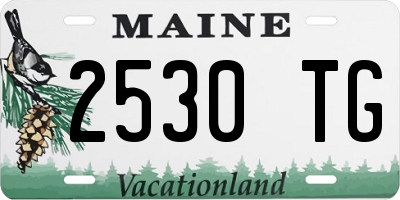 ME license plate 2530TG