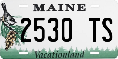 ME license plate 2530TS