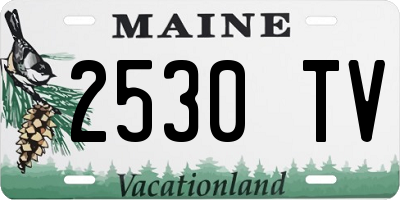ME license plate 2530TV