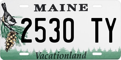 ME license plate 2530TY