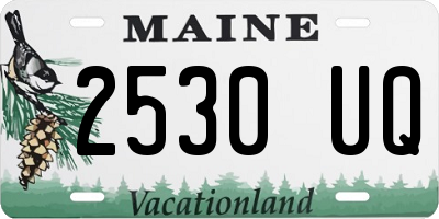 ME license plate 2530UQ