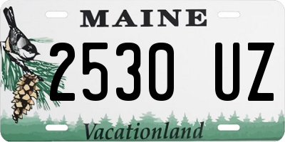 ME license plate 2530UZ