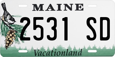 ME license plate 2531SD