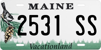 ME license plate 2531SS