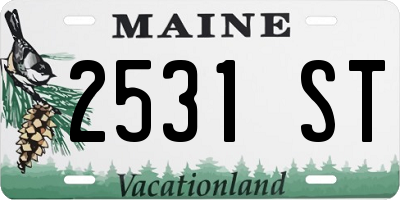 ME license plate 2531ST