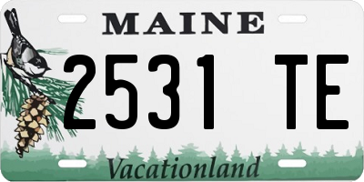 ME license plate 2531TE