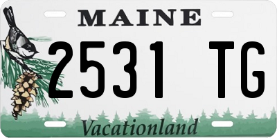 ME license plate 2531TG