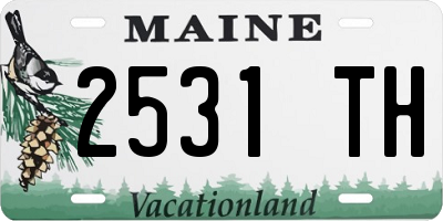 ME license plate 2531TH
